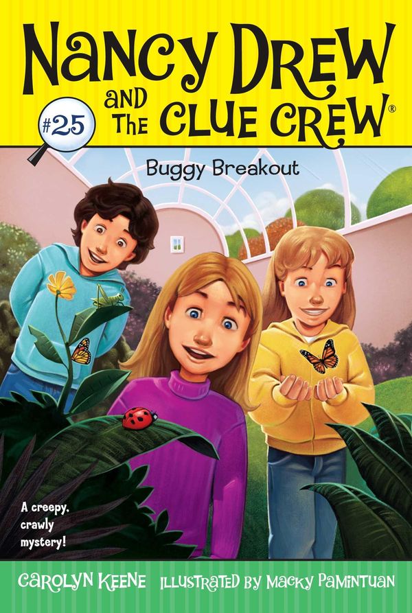 Cover Art for 9781416998990, Buggy Breakout by Carolyn Keene