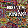 Cover Art for 9780393680362, Essential Cell Biology by Bruce Alberts