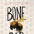 Cover Art for 9780062317636, Bone Gap by Laura Ruby