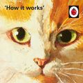 Cover Art for 9780718184346, How it Works: The Cat by Jason Hazeley, Joel Morris