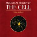 Cover Art for 9780815316206, Molecular Biology of the Cell, Third Edition by Bruce Alberts, Dennis Bray, Julian Lewis, Martin Raff, Keith Roberts, James D. Watson