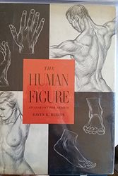 Cover Art for 9780670386307, The Human Figure by David K. Rubins