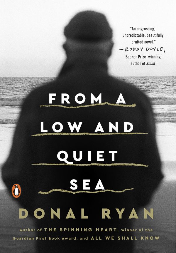 Cover Art for 9780143133247, From a Low and Quiet Sea by Donal Ryan