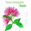 Cover Art for 9780893275440, Remarkable Plants of Vanuatu - Plantes Remarquables du Vanuatu by Laurence Ramon (2016-08-02) by Laurence Ramon, Chanel Sam