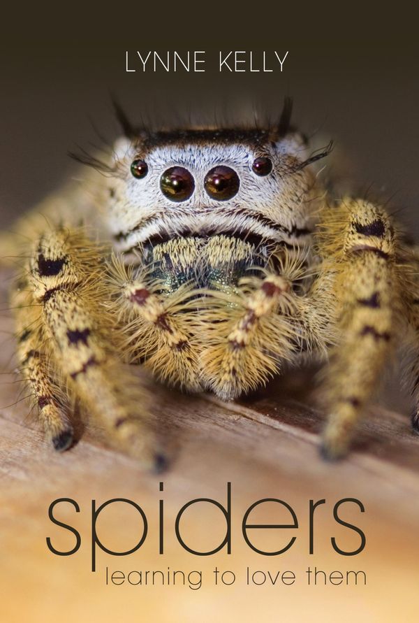 Cover Art for 9781741761870, Spiders by Lynne Kelly