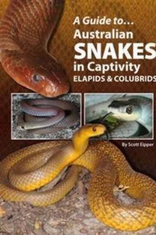 Cover Art for B01K0V2TV6, A Guide to Australian Snakes in Captivity: Elapids and Colubrids by Scott Eipper (2012-10-30) by Scott Eipper