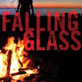 Cover Art for 9781846687822, Falling Glass by Adrian McKinty