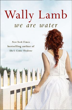 Cover Art for 9780007532865, We Are Water by Wally Lamb