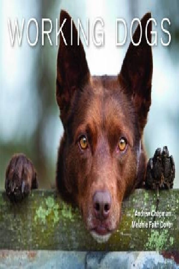 Cover Art for 9781743461600, Working Dogs by Andrew Chapman, Melanie Faith Dove