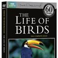 Cover Art for 5051561037122, David Attenborough: The Life of Birds - The Complete Series [Region 2] by 2 Entertain