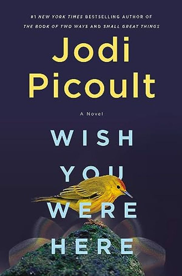 Cover Art for 9780593497203, Wish You Were Here by Jodi Picoult
