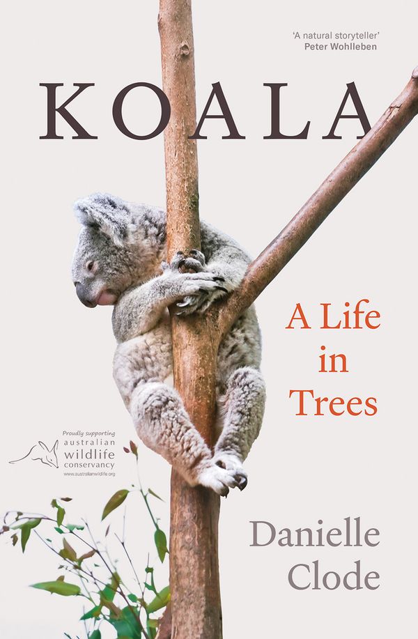 Cover Art for 9781760642884, Koala: A Life in Trees by Danielle Clode