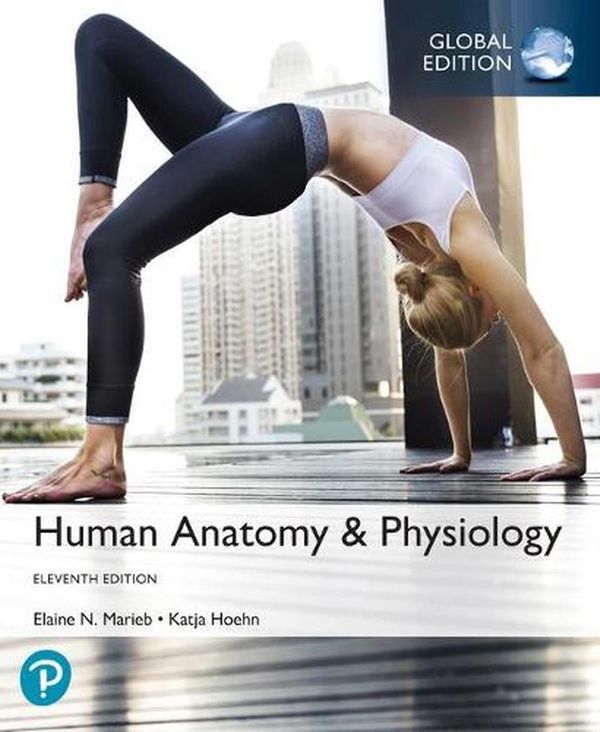 Cover Art for 9781292261034, Human Anatomy & Physiology, (Hardback), Global Edition by Elaine Marieb, Katja Hoehn