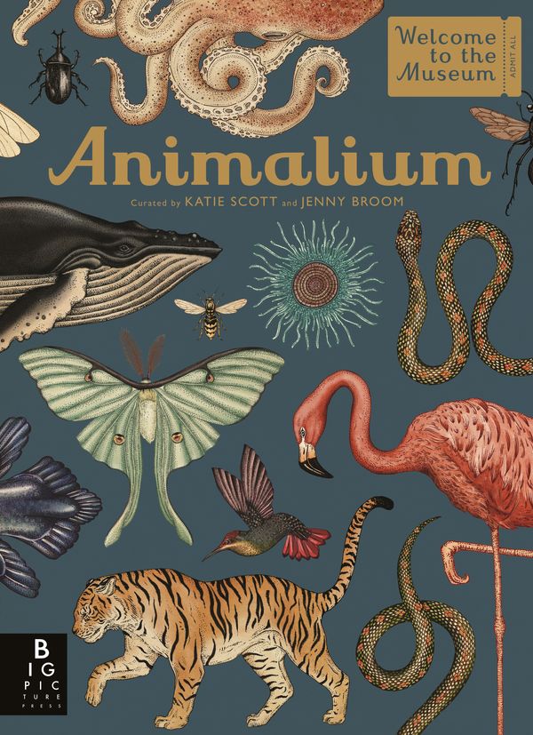 Cover Art for 9781787411647, AnimaliumWelcome To The Museum by Jenny Broom