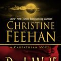 Cover Art for 9781410467249, Dark Wolf by Christine Feehan