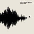 Cover Art for 9781922571731, Only Sound Remains by Hossein Asgari