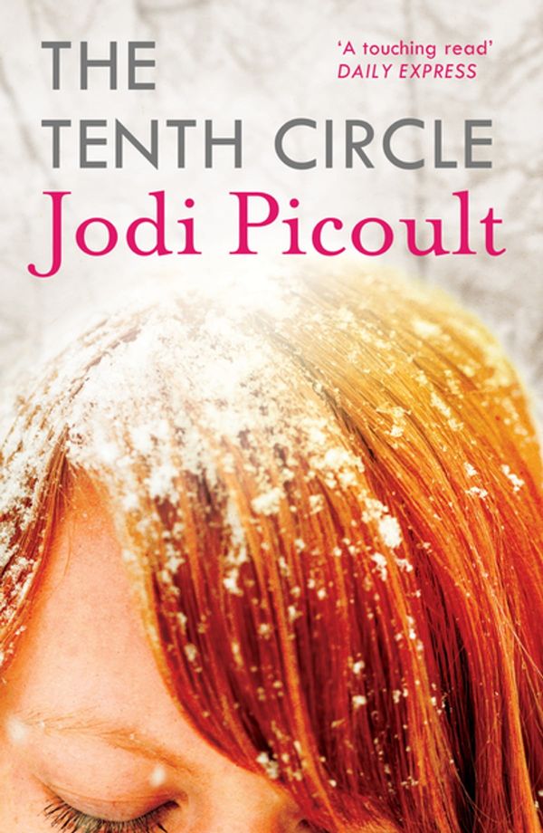 Cover Art for 9781848941557, The Tenth Circle by Jodi Picoult