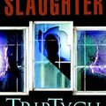 Cover Art for B010EUJSMG, Triptych Hardcover – August 15, 2006 by Karin Slaughter