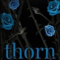 Cover Art for 9781914950001, Thorn: A High School Bully Romance (Rosewood High) by Tracy Lorraine
