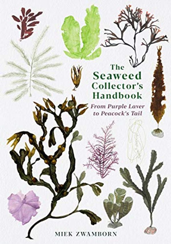 Cover Art for B083LJ68YK, The Seaweed Collector's Handbook: From Purple Laver to Peacock’s Tail by Miek Zwamborn