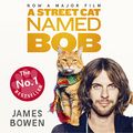 Cover Art for B00NPB43JU, A Street Cat Named Bob by James Bowen