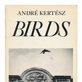 Cover Art for 9780831708740, Birds by André Kertész, Nicolas Ducrot