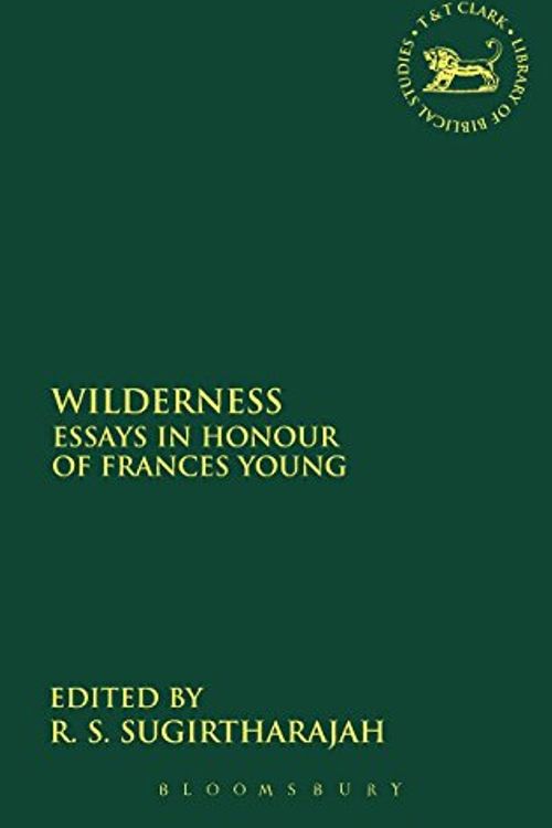 Cover Art for 9780567041425, Wilderness by Frances Young