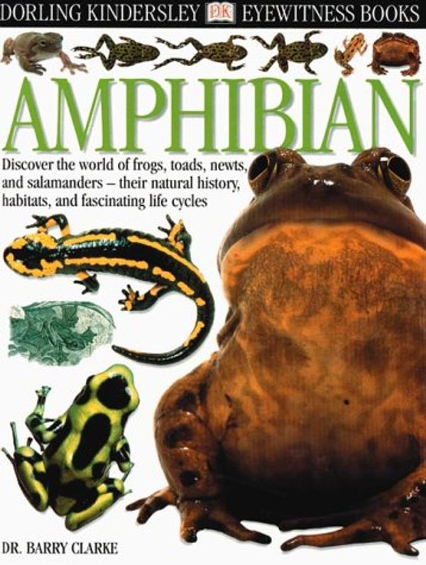 Cover Art for 9780789457547, Amphibian by Barry Clarke