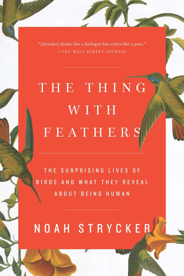 Cover Art for 9781594633416, The Thing with Feathers by Noah Strycker