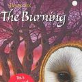 Cover Art for 9780439405621, The Burning by Kathryn Lasky