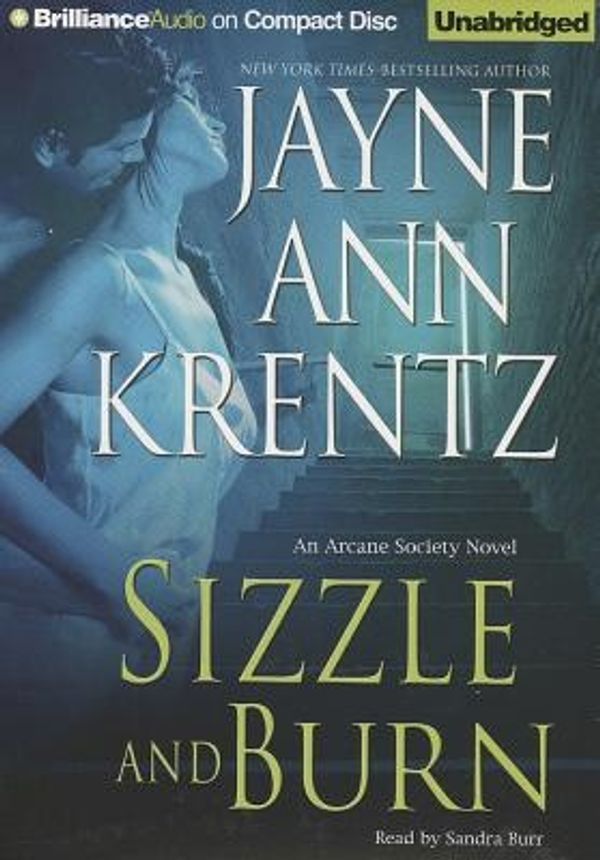 Cover Art for 9781469274188, Sizzle and Burn by Jayne Ann Krentz