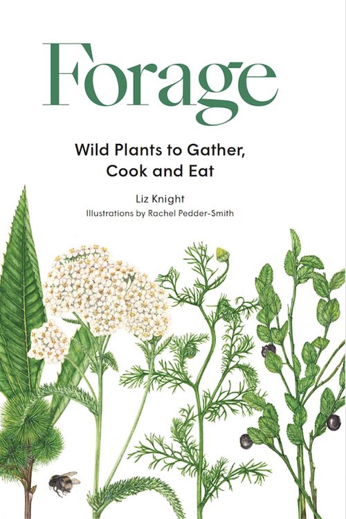 Cover Art for 9781786277350, Forage: Wild plants to gather and eat by Liz Knight