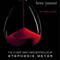 Cover Art for 9780316174534, The Short Second Life of Bree Tanner by Stephenie Meyer