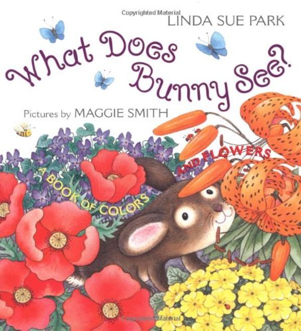 Cover Art for 9780618234851, What Does Bunny See? by Linda Sue Park