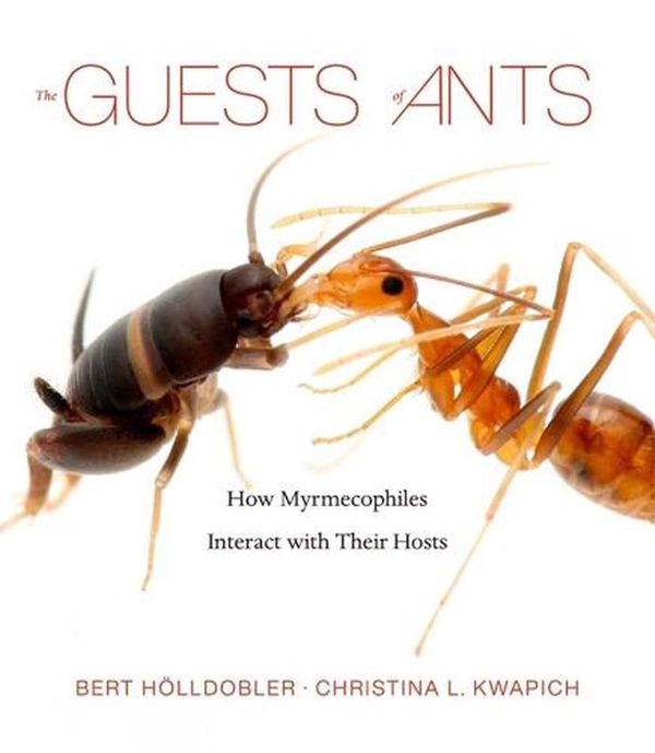 Cover Art for 9780674265516, The Guests of Ants: How Myrmecophiles Interact with Their Hosts by Bert Holldobler, Christina L. Kwapich