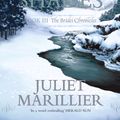 Cover Art for 9780330423472, The Well of Shades: Bridei 3 by Juliet Marillier