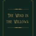 Cover Art for 9798565870930, The Wind in the Willows by Kenneth Grahame
