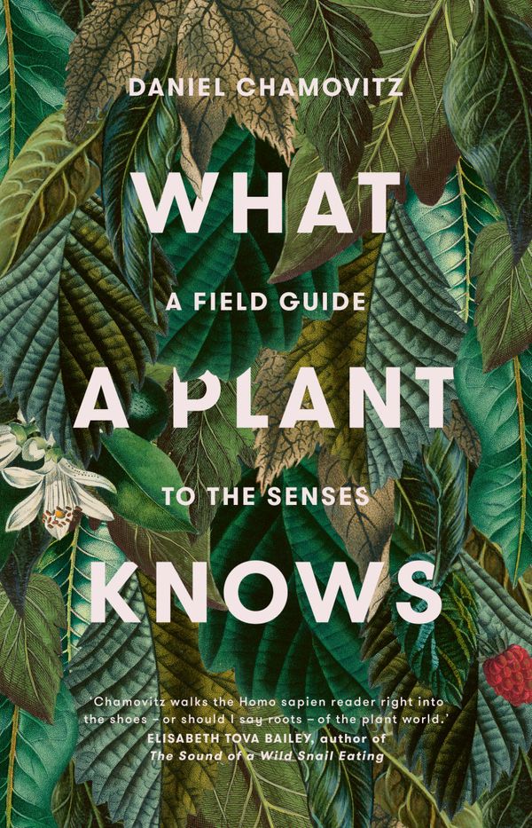 Cover Art for 9781925322095, What a Plant Knowsa Field Guide to the Senses by Daniel Chamovitz