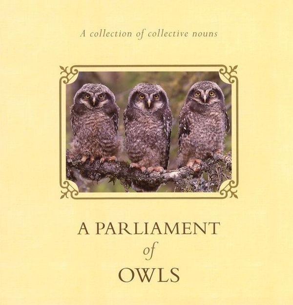 Cover Art for 9780143004332, A Parliament of Owls by Gordon Kerr, Penguin Books Australia Ltd