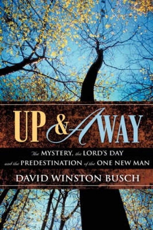 Cover Art for 9781604771015, Up & Away by David Winston Busch
