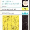 Cover Art for 9780701110536, Within a Budding Grove: Pt. 1 by Marcel Proust