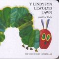 Cover Art for 9781855967830, The Lindysyn Llwglyd Iawn, Y / Very Hungry Caterpillar by Eric Carle