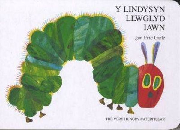 Cover Art for 9781855967830, The Lindysyn Llwglyd Iawn, Y / Very Hungry Caterpillar by Eric Carle