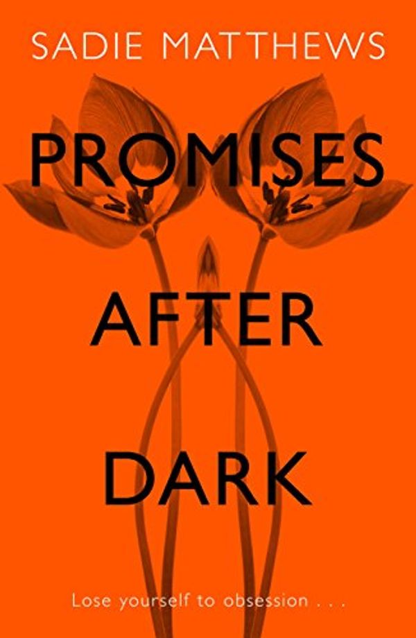 Cover Art for B009ZW9DNY, Promises After Dark (After Dark Book 3): After Dark Book Three by Sadie Matthews