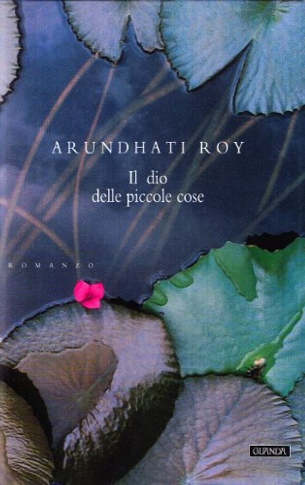 Cover Art for 9788877469588, Il dio delle piccole cose by Arundhati Roy