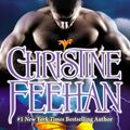 Cover Art for 9780515151565, Dark Storm by Christine Feehan