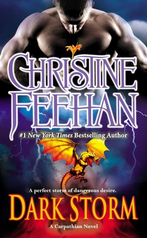 Cover Art for 9780515151565, Dark Storm by Christine Feehan