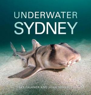 Cover Art for 9781486311187, Underwater Sydney by Inke Falkner