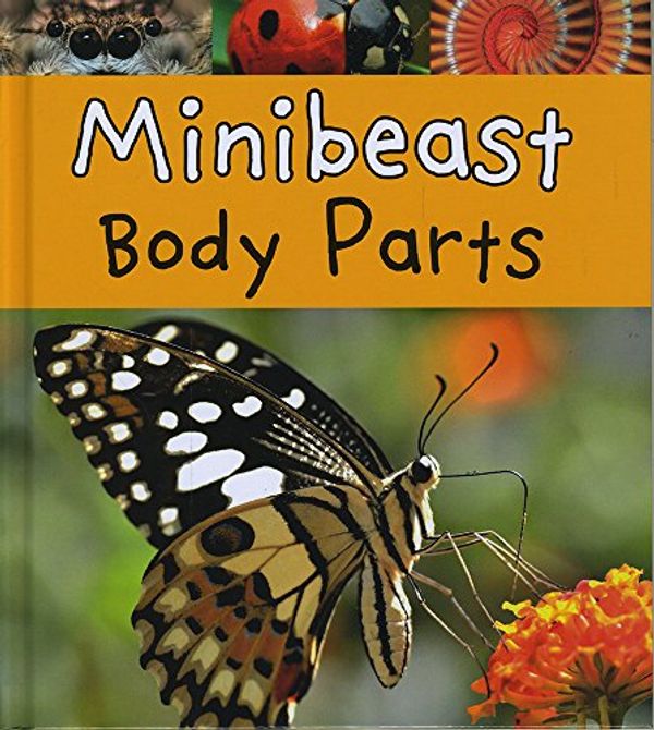 Cover Art for 9781406298031, Minibeast Body PartsRead and Learn: Animal Body Parts by Clare Lewis