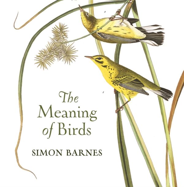 Cover Art for 9781784970703, The Wisdom of Birds by Simon Barnes